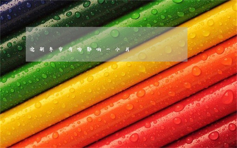 逾期年审有啥影响一个月 逾期年审有啥影响一个月