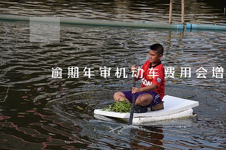 逾期年审机动车费用会增加吗