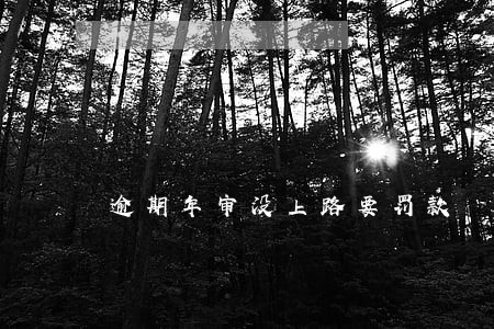 逾期年审没上路要罚款 逾期年审没上路要罚款
