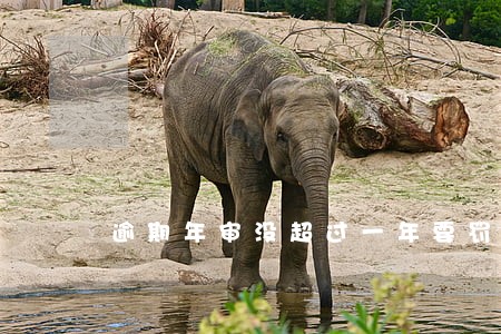 逾期年审没超过一年要罚款吗