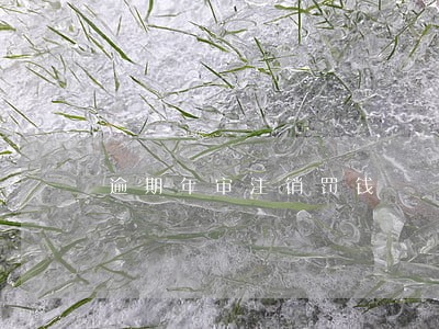 逾期年审注销罚钱 逾期年审注销罚钱