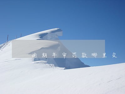 逾期年审罚款哪里交 逾期年审罚款哪里交