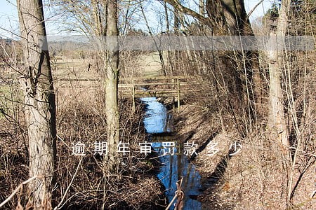 逾期年审罚款多少