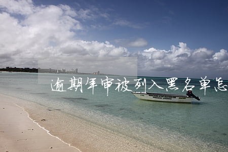 逾期年审被列入黑名单怎么查