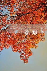 逾期年审车辆保险赔吗 逾期年审车辆保险赔吗