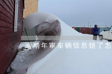 逾期年审车辆信息锁了怎么办 逾期年审车辆信息锁了怎么办
