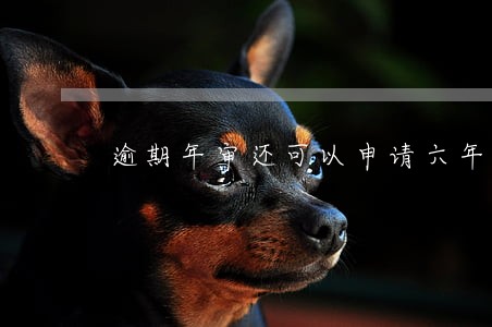 逾期年审还可以申请六年免检吗 逾期年审还可以申请六年免检吗