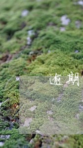 逾期年审香港公司 逾期年审香港公司