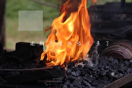 逾期年度催收又多了