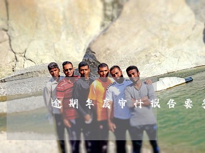 逾期年度审计报告要多钱