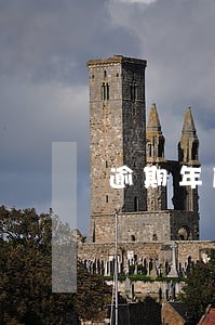 逾期年度异常名录申请表 逾期年度异常名录申请表