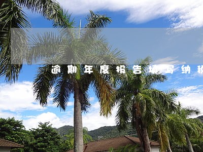 逾期年度报告填写纳税总额怎么填 逾期年度报告填写纳税总额怎么填