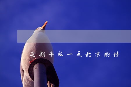 逾期年报一天北京酌情 逾期年报一天北京酌情
