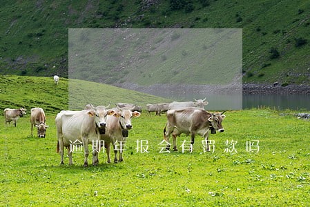 逾期年报会有罚款吗 逾期年报会有罚款吗
