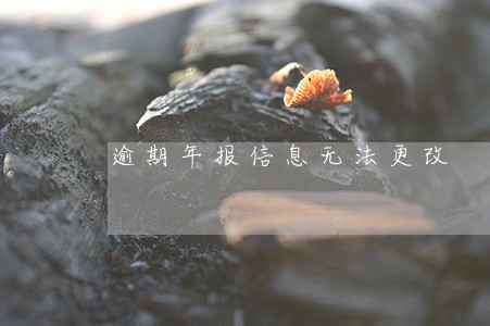 逾期年报信息无法更改 逾期年报信息无法更改