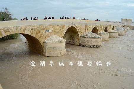 逾期年报办理委托书 逾期年报办理委托书