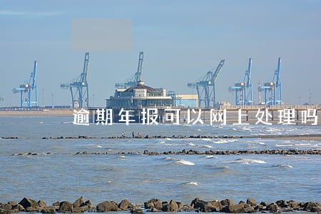 逾期年报可以网上处理吗 逾期年报可以网上处理吗