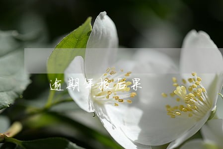 逾期年报后果 逾期年报后果