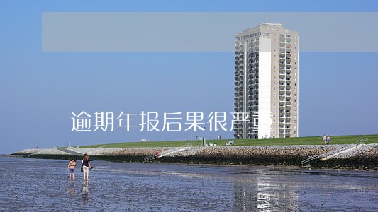 逾期年报后果很严重 逾期年报后果很严重