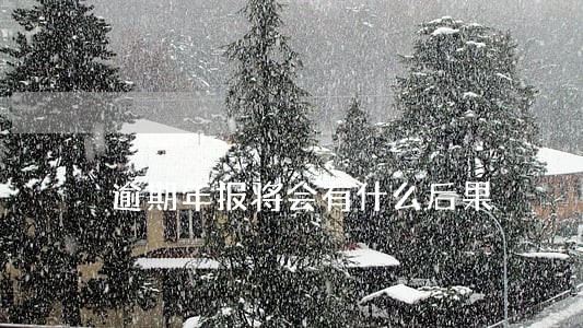 逾期年报将会有什么后果