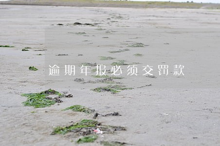 逾期年报必须交罚款 逾期年报必须交罚款