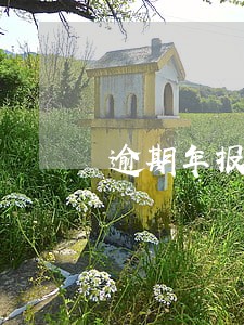 逾期年报恢复要罚款吗 逾期年报恢复要罚款吗