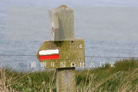 逾期年报有什么后果 逾期年报有什么后果