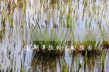 逾期年报的书面报告 逾期年报的书面报告