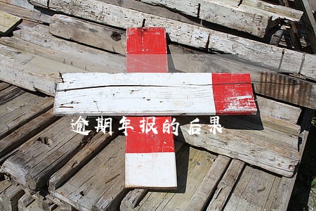 逾期年报的后果 逾期年报的后果