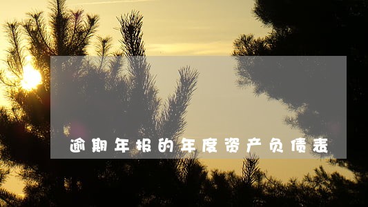 逾期年报的年度资产负债表 逾期年报的年度资产负债表