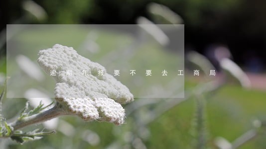 逾期年报要不要去工商局 逾期年报要不要去工商局