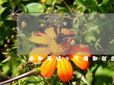 逾期年检3个周期就会强制注销