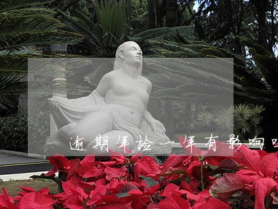 逾期年检一年有影响吗 逾期年检一年有影响吗