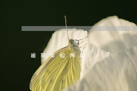 逾期年检两次 逾期年检两次