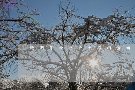 逾期年检会产生滞纳金吗 逾期年检会产生滞纳金吗