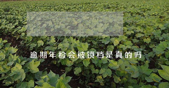 逾期年检会被锁档是真的吗 逾期年检会被锁档是真的吗