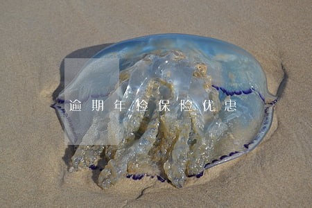 逾期年检保险优惠 逾期年检保险优惠