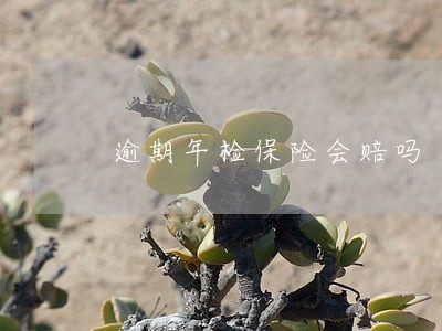 逾期年检保险会赔吗 逾期年检保险会赔吗