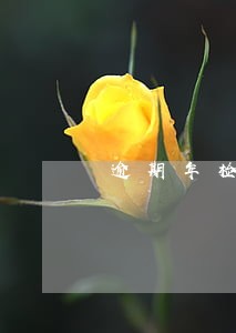 逾期年检保险单过期 逾期年检保险单过期