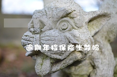 逾期年检保险生效吗
