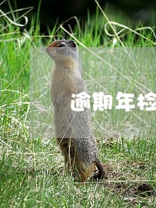 逾期年检到底会不会罚款 逾期年检到底会不会罚款