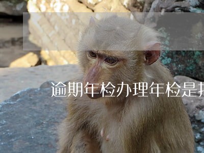 逾期年检办理年检是扣分