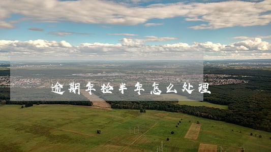 逾期年检半年怎么处理