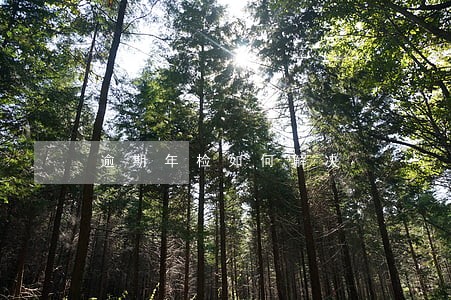 逾期年检如何解决 逾期年检如何解决