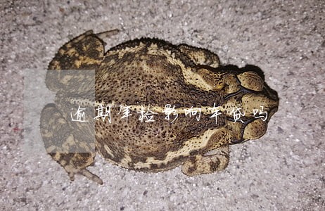 逾期年检影响车贷吗 逾期年检影响车贷吗