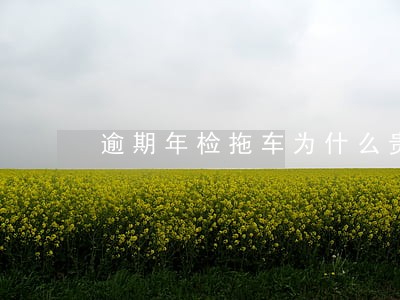 逾期年检拖车为什么贵 逾期年检拖车为什么贵