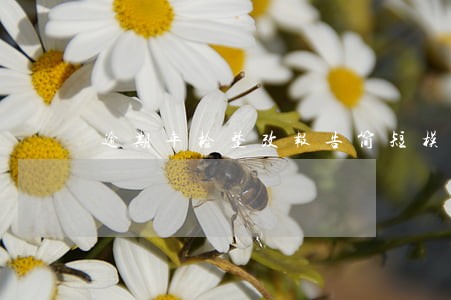 逾期年检整改报告简短模板 逾期年检整改报告简短模板
