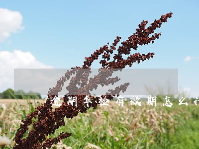 逾期年检有效期怎么计算 逾期年检有效期怎么计算