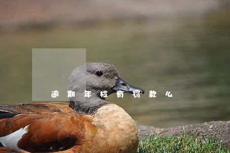 逾期年检有罚款么 逾期年检有罚款么