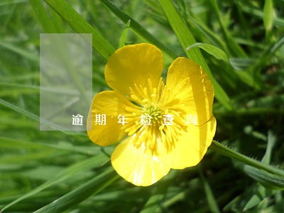 逾期年检查询 逾期年检查询